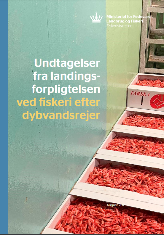 Brochure for fiskeri efter dybvandsrejer