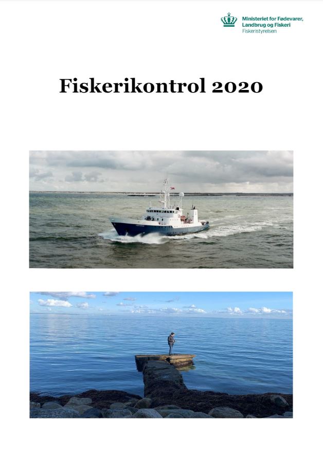 rsrapport 2020