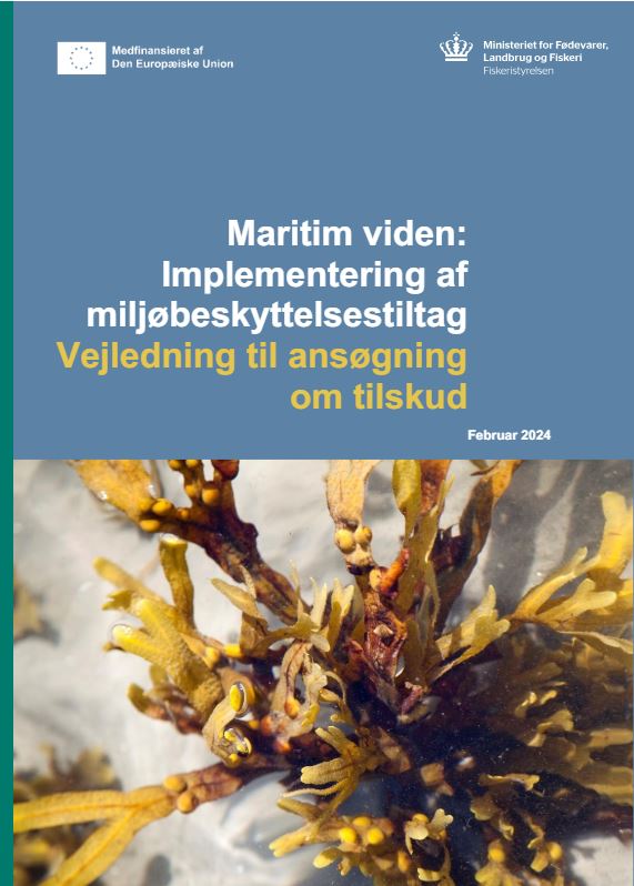 Maritim viden: Implementering af miljøbeskyttelsestiltag